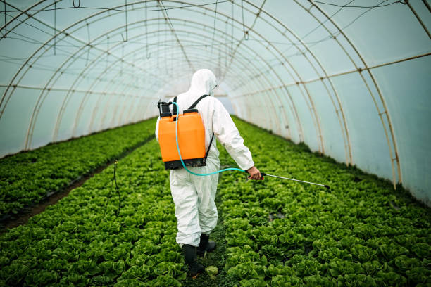 Midland, WA Pest Control Company
