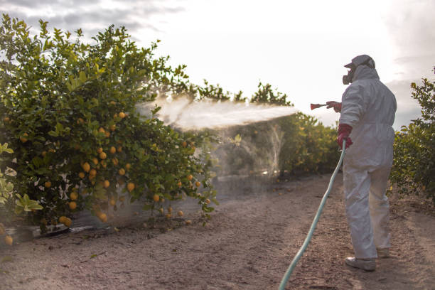 Best Rat Extermination Near Me  in Midland, WA
