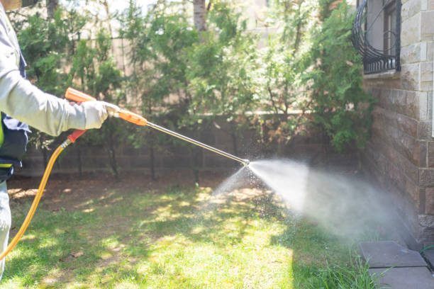 Best Rodent Control Near Me  in Midland, WA